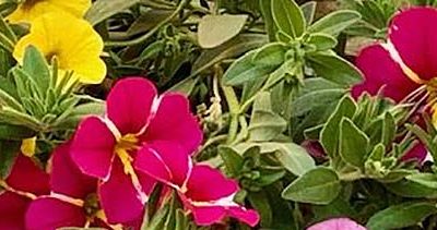 Is your home the source of your allergies?